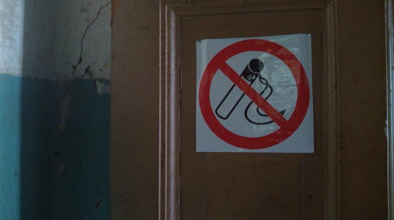 Фото: Елена Кобзева