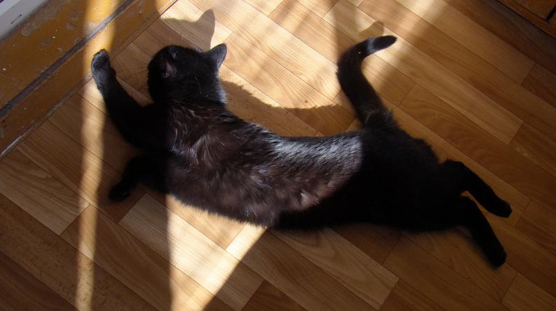 Фото: flickr.com Tanya.K.