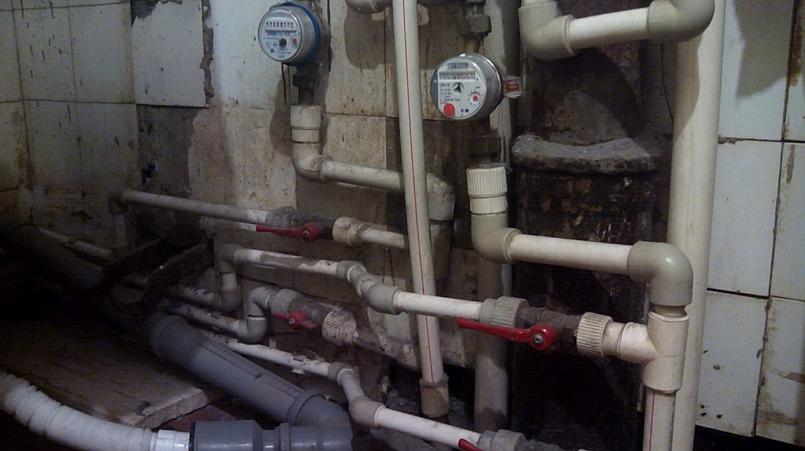 Фото: Елена Кобзева