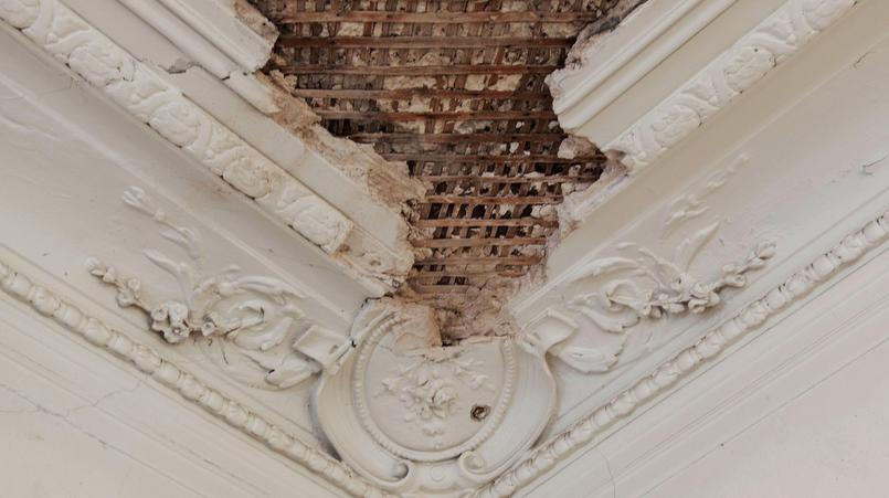 Фото: vk.com sf_spb  Виктор Федотов