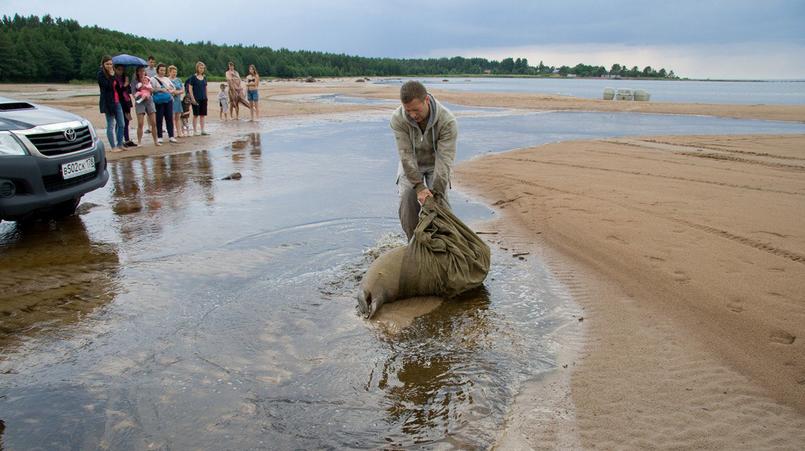 Фото: vk.com sealrescue