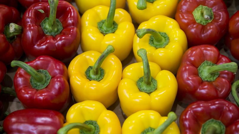 Фото: globallookpress.com  Emmanuele Contini