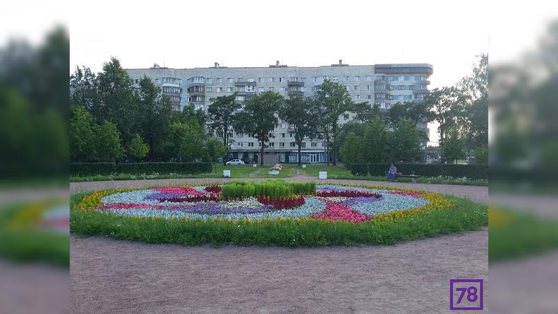 Фото: Лариса Новокрещенова