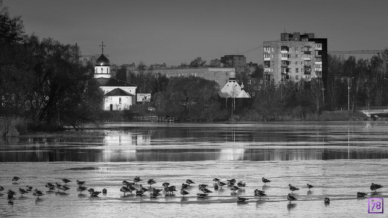 Фото: Артем Лутовкин