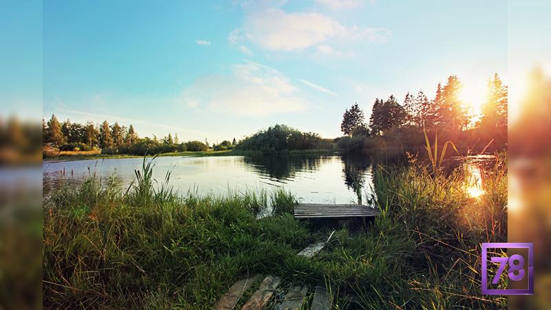 Фото: Алена Муратова