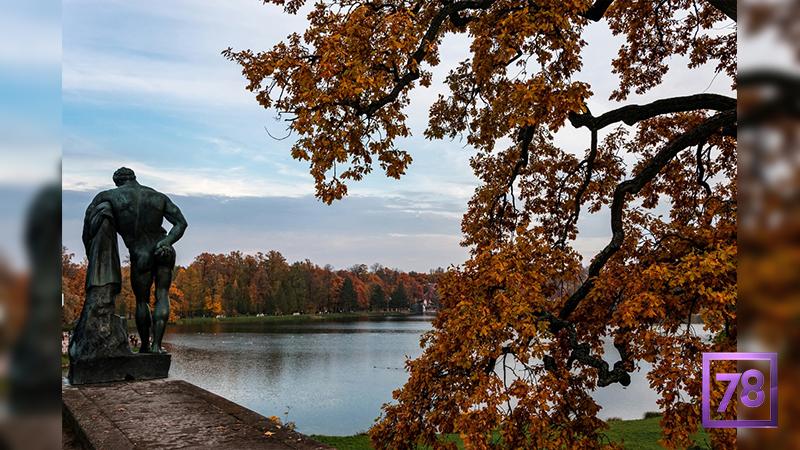 Фото: Дарья Андреева