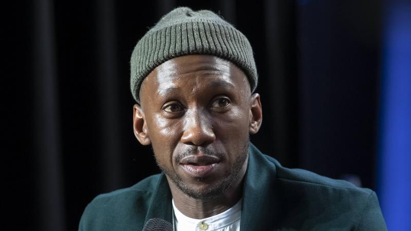 Фото: globallookpress.com  Hubert Boesl