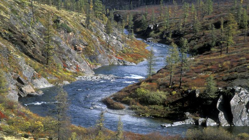 Сибирь  Фото: globallookpress.com