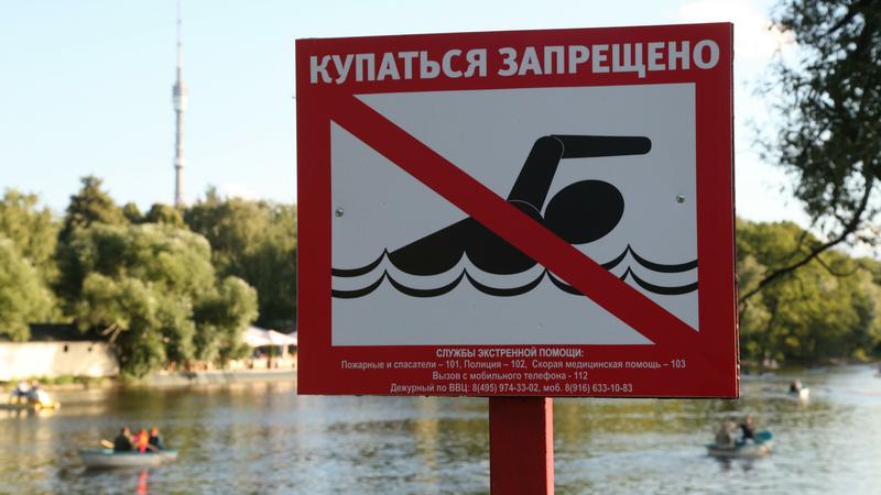 Фото: globallookpress.com  Sergey Kovalev