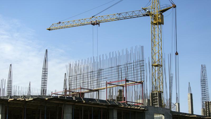 Фото: globallookpress.com  Nikolay Gyngazov