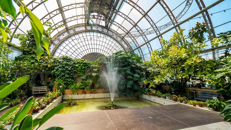 Павильон «Цветы»  Фото: официальный сайт по продаже Оранжереи Таврического сада