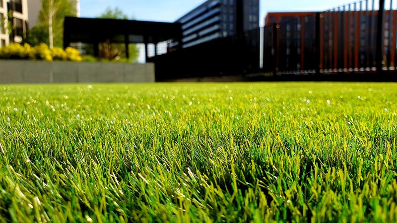 Фото: pxhere.com