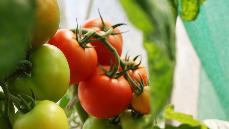 Фото: unsplash.com