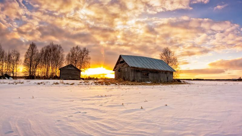 Фото: unsplash.com