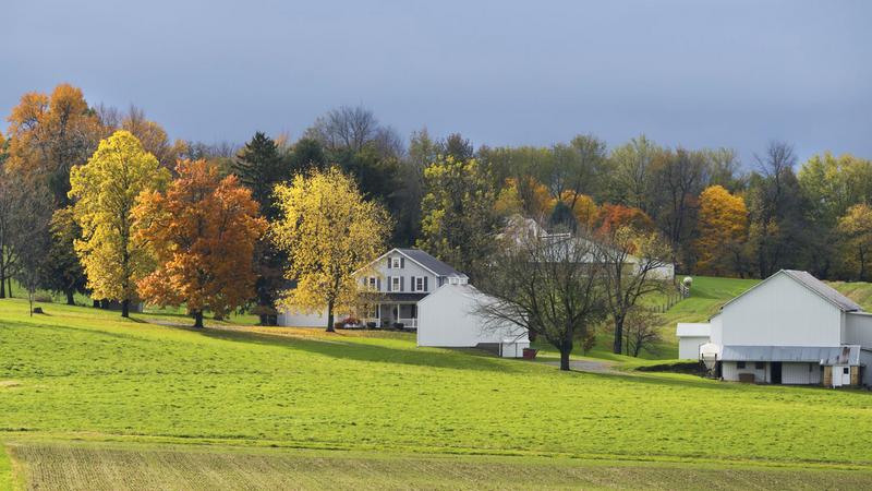 Фото: unsplash.com