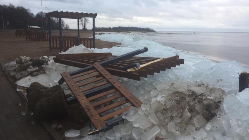 Фото: vk.com greencospb