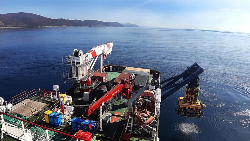 Фото: fertoing.ru