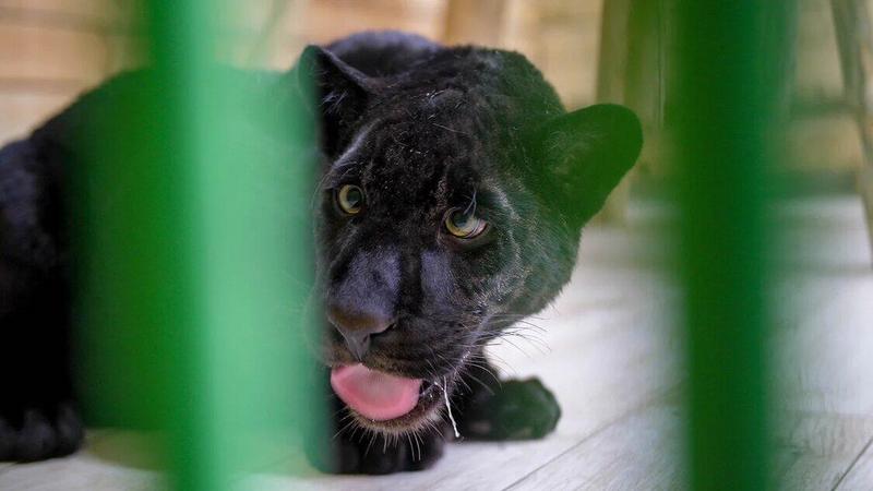 Фото: предоставлено Марией Воробьёвой