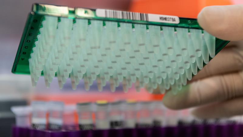 Фото: Robert Michael  globallookpress.com