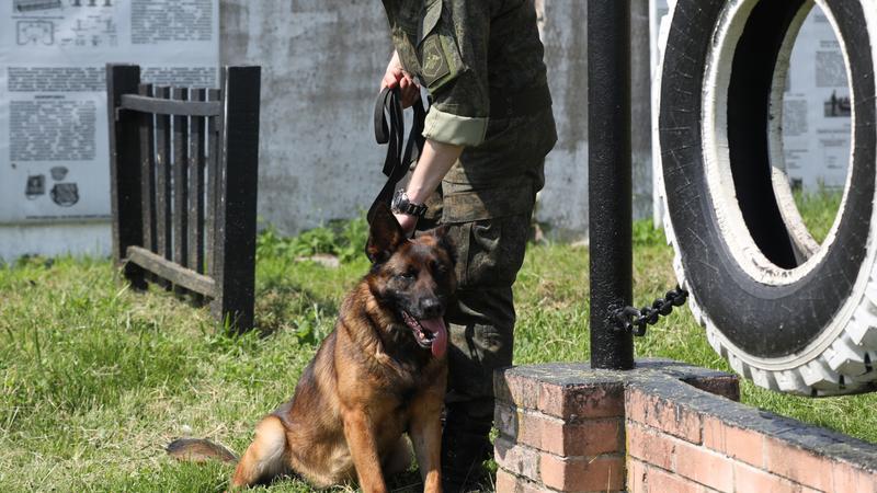 Фото: пресс-служба Западного военного округа