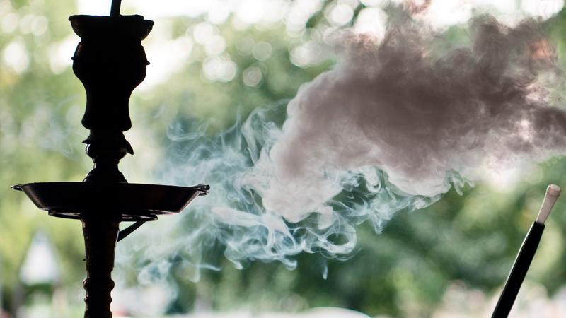 Фото: Soeren Stache globallookpress.com