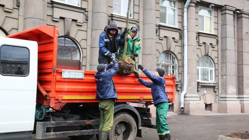 Фото: Комитет по благоустройству Санкт-Петербурга