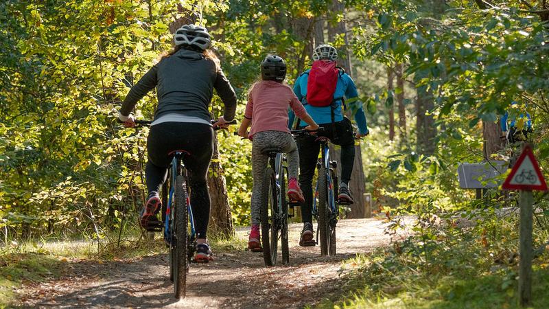 Фото: pixabay.com