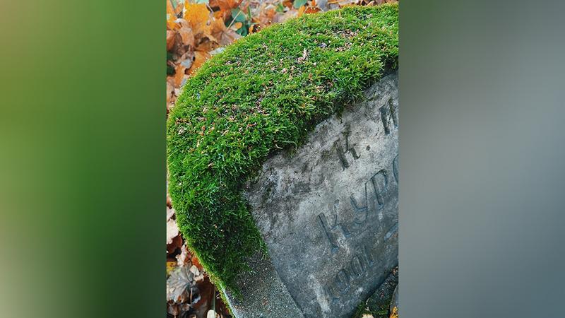 Фото: »Краеведческая ячейка Гэнгъ