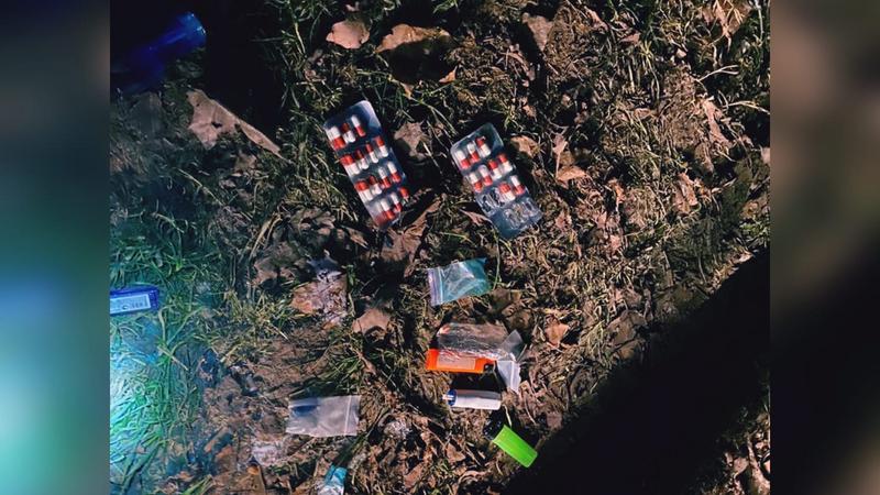 Фото: vk.com dorinspb