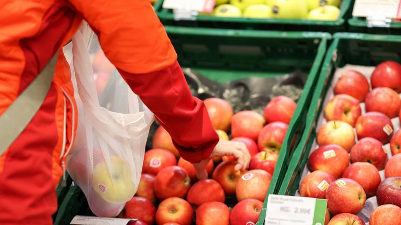 Фото: Jan Woitas  globallookpress.com