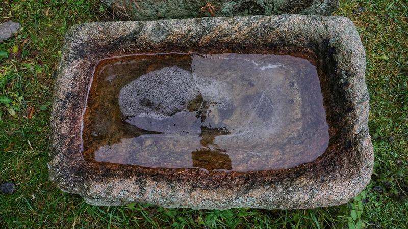 Фото: Анастасия Голубничая 