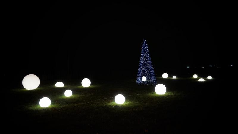 Фото: Анастасия Голубничая 