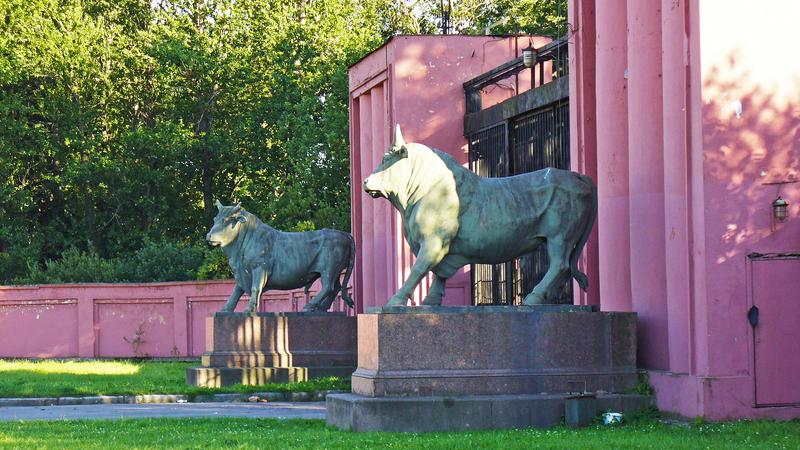 Фото: wikipedia.org