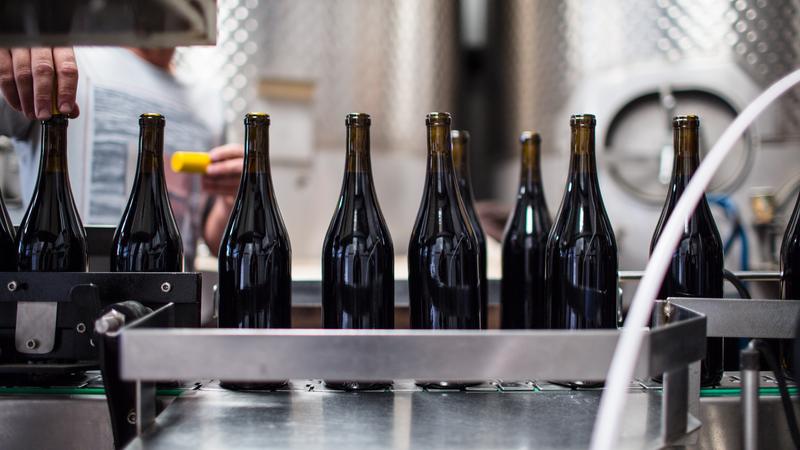 Фото: unsplash.com