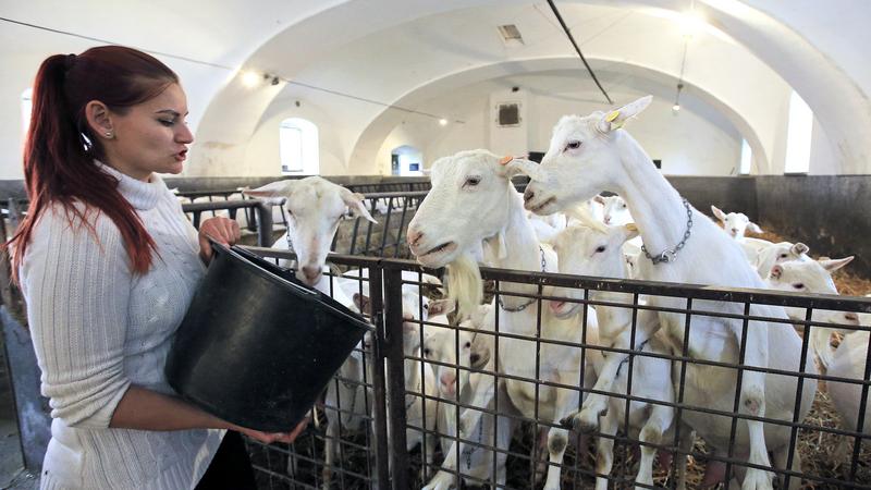 Фото: Plihal Libor globallookpress.com