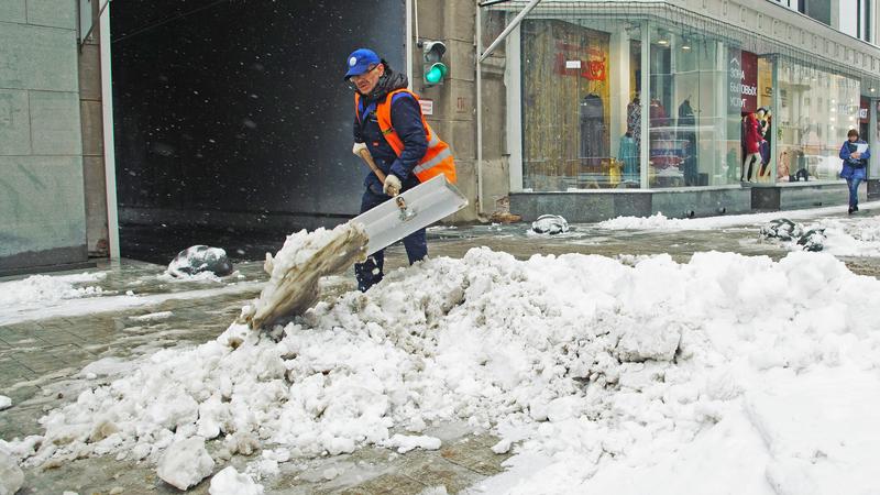 Фото: Dmitry Chasovitin globallookpress.com