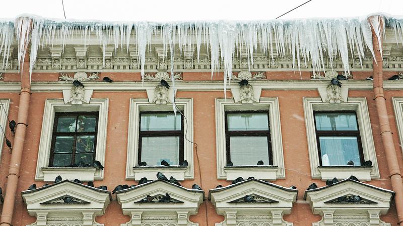 Фото: Alexey Porokhovnikov globallookpress.com