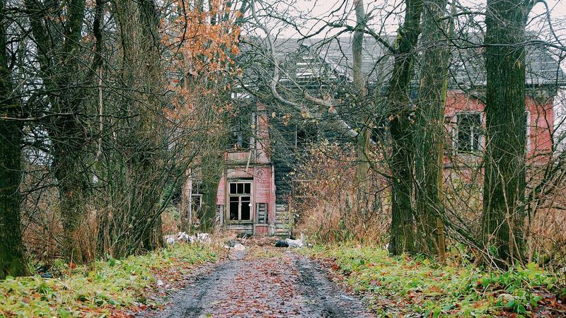 Фото: vk.com backintotheway