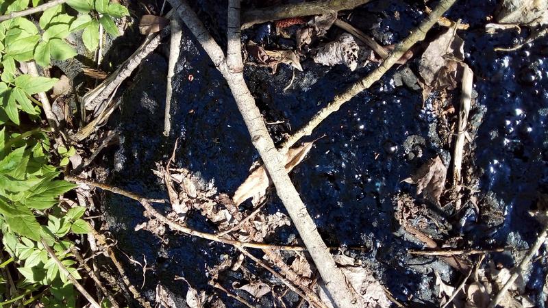 Фото: vk.com Вечерний Металлострой