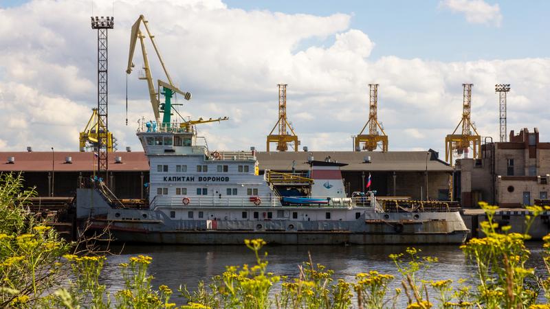 Фото: wikimedia.org Alexey Komarov