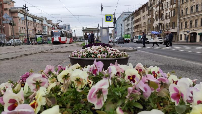 Фото: пресс-служба Комитета по благоустройству Санкт‑Петербурга