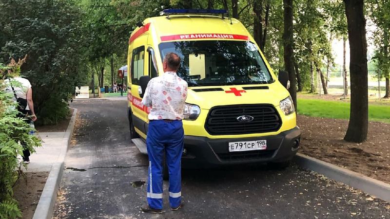 Фото: vk.com Детскосельский Онлайн