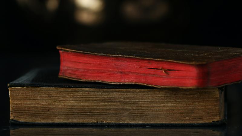 Фото: unsplash.com