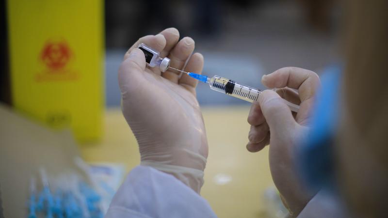 Фото: Mahmoud Khattab globallookpress.com