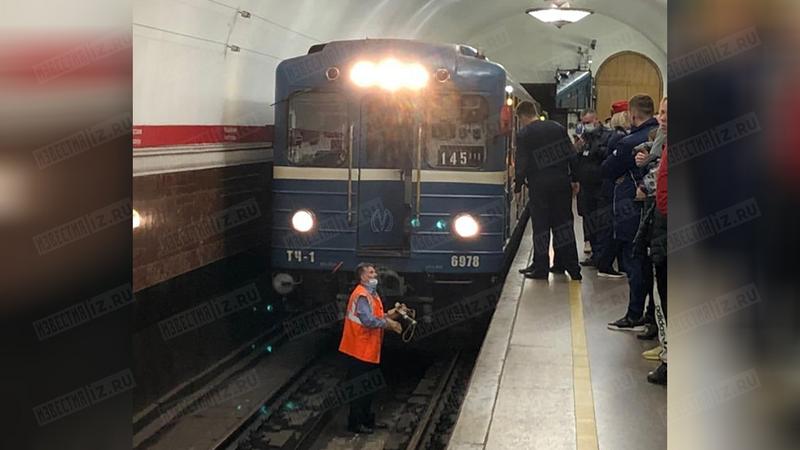 Путь падения. Человек в метро упал на рельсы СПБ. Контактный рельс в метро на площади Восстания. Поезда на площади Восстания.