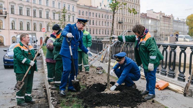 Санкт петербург комитет по благоустройству сайт