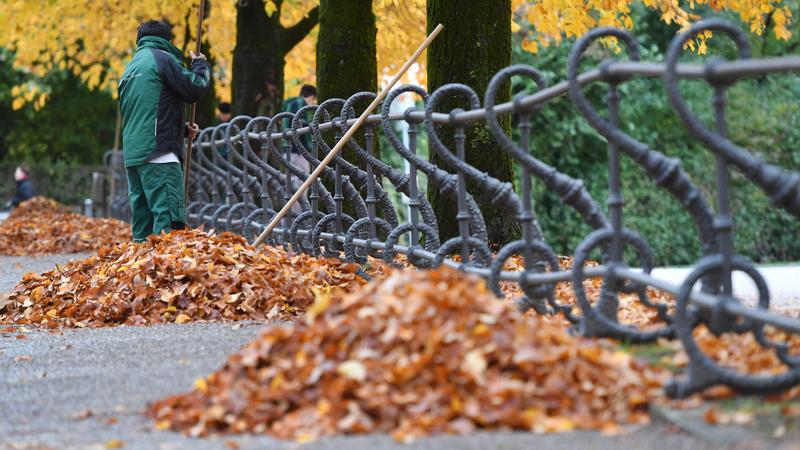 Фото: Frank Hoermann SVEN SIMON globallookpress.com