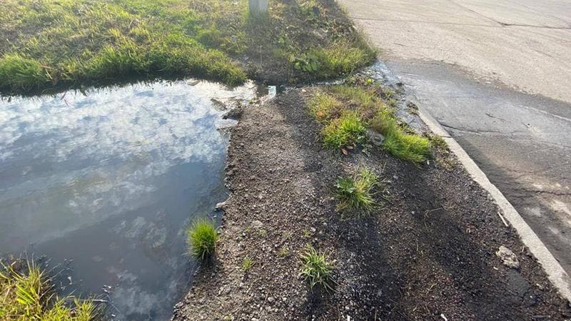 Фото: пресс-служба прокуратуры Санкт-Петербурга