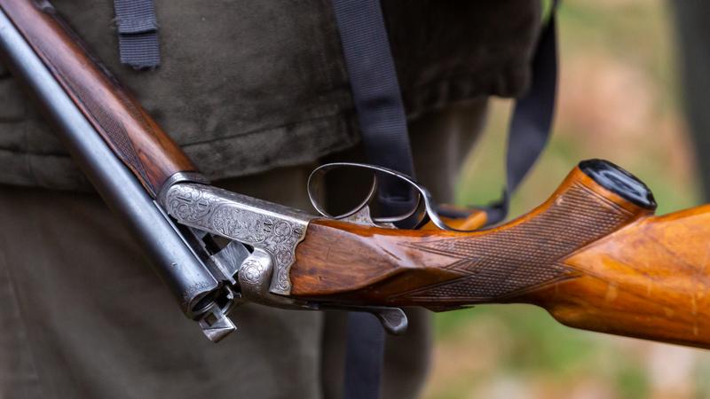 Фото: Petr Sznapka globallookpress.com