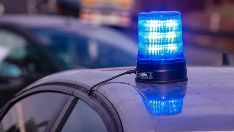 Фото: Tino Plunert globallookpress.com